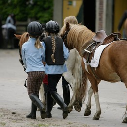 Pferde und Mädchen