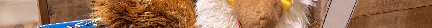 Comicartig gezeichnete Kinderfiguren springen um ein Seil herum
