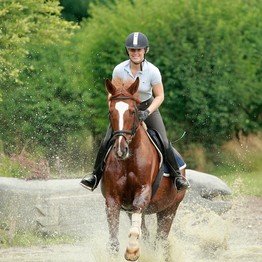 Pferd und Reiterin