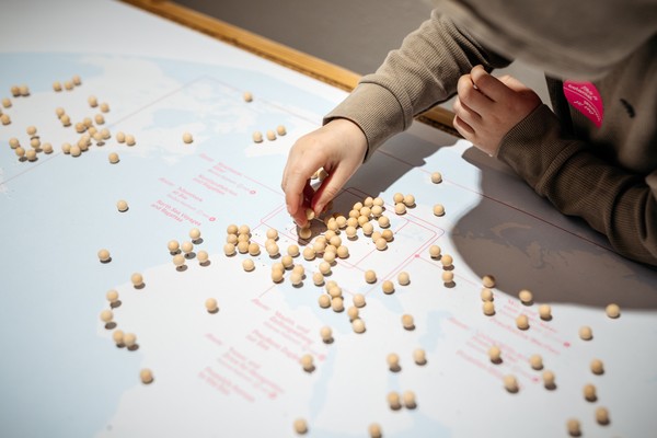 Weltkarte Pins