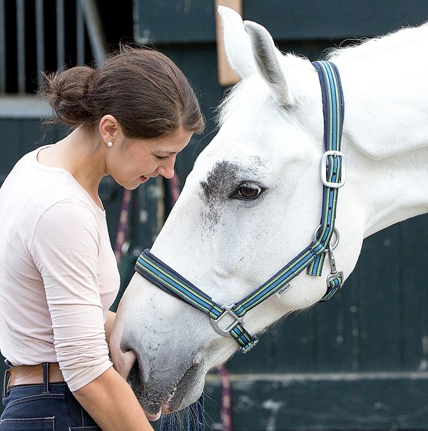 Pferd und Reiterin / Westfälischer Pferdesportverband