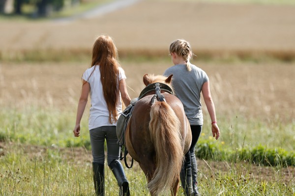 Zwei Menschen von hinten mit Pferd / Westfälischer Pferdesportverband